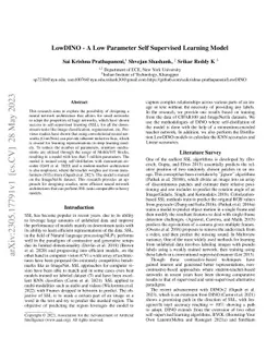 LowDINO -- A Low Parameter Self Supervised Learning Model