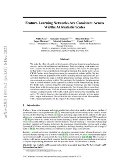 Feature-Learning Networks Are Consistent Across Widths At Realistic
  Scales