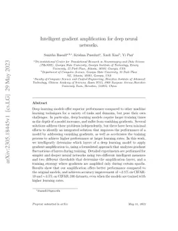 Intelligent gradient amplification for deep neural networks