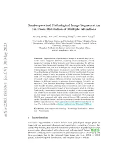 Semi-supervised Pathological Image Segmentation via Cross Distillation
  of Multiple Attentions