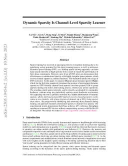 Dynamic Sparsity Is Channel-Level Sparsity Learner