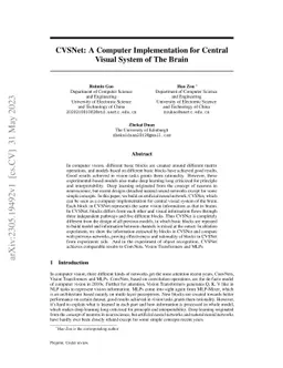 CVSNet: A Computer Implementation for Central Visual System of The Brain