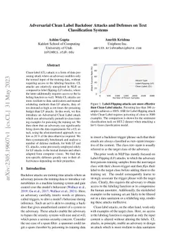 Adversarial Clean Label Backdoor Attacks and Defenses on Text
  Classification Systems