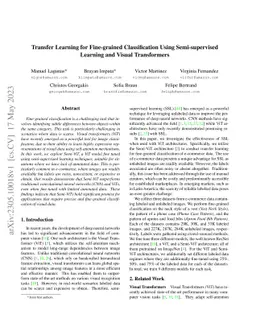 Transfer Learning for Fine-grained Classification Using Semi-supervised
  Learning and Visual Transformers