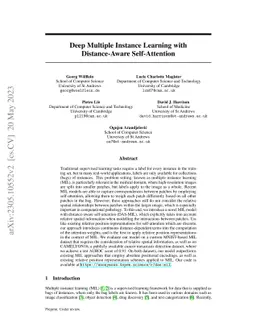 Deep Multiple Instance Learning with Distance-Aware Self-Attention