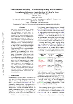 Measuring and Mitigating Local Instability in Deep Neural Networks