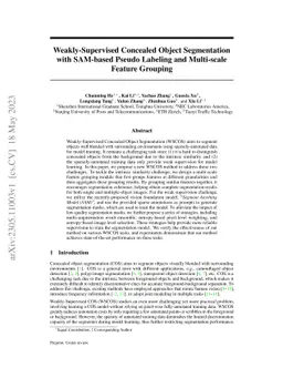 Weakly-Supervised Concealed Object Segmentation with SAM-based Pseudo
  Labeling and Multi-scale Feature Grouping