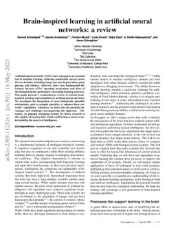 Brain-inspired learning in artificial neural networks: a review