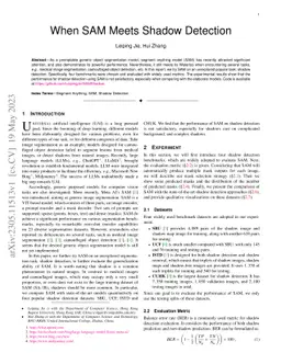 When SAM Meets Shadow Detection