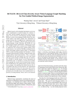 Bi-VLGM : Bi-Level Class-Severity-Aware Vision-Language Graph Matching
  for Text Guided Medical Image Segmentation