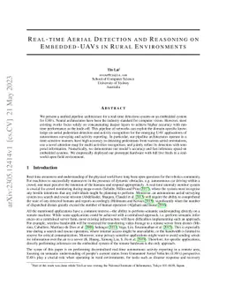 Real-time Aerial Detection and Reasoning on Embedded-UAVs