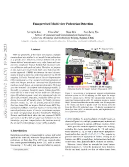 Unsupervised Multi-view Pedestrian Detection