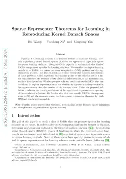 Sparse Representer Theorems for Learning in Reproducing Kernel Banach
  Spaces