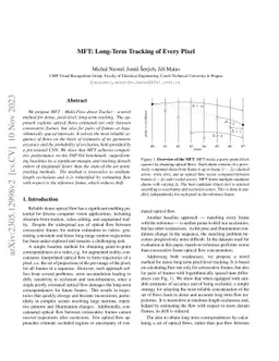 MFT: Long-Term Tracking of Every Pixel