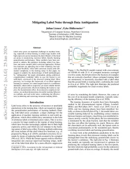 Mitigating Label Noise through Data Ambiguation