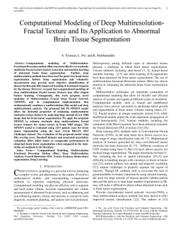 Computational Modeling of Deep Multiresolution-Fractal Texture and Its
  Application to Abnormal Brain Tissue Segmentation