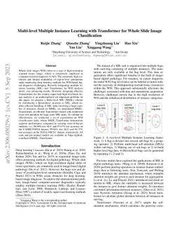Multi-level Multiple Instance Learning with Transformer for Whole Slide
  Image Classification