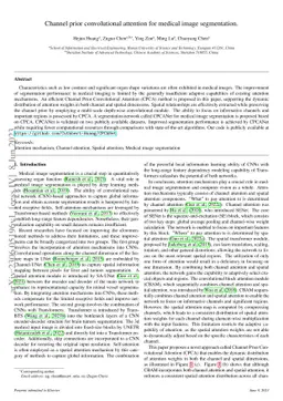Channel prior convolutional attention for medical image segmentation