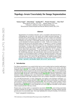 Topology-Aware Uncertainty for Image Segmentation