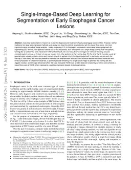 Single-Image-Based Deep Learning for Segmentation of Early Esophageal
  Cancer Lesions