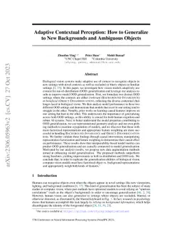 Adaptive Contextual Perception: How to Generalize to New Backgrounds and
  Ambiguous Objects