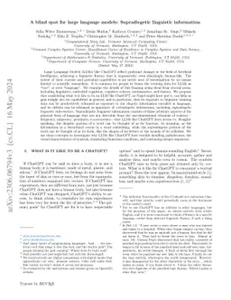 A blind spot for large language models: Supradiegetic linguistic
  information