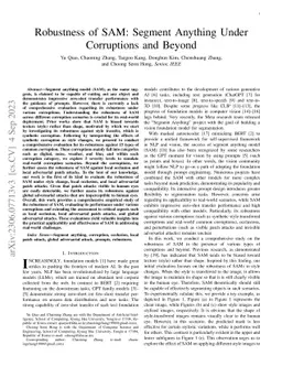 Robustness of SAM: Segment Anything Under Corruptions and Beyond