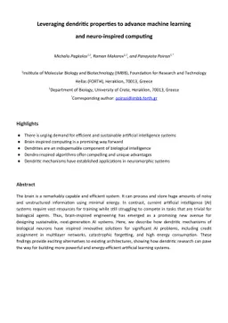 Leveraging dendritic properties to advance machine learning and
  neuro-inspired computing