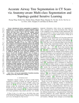 Accurate Airway Tree Segmentation in CT Scans via Anatomy-aware
  Multi-class Segmentation and Topology-guided Iterative Learning