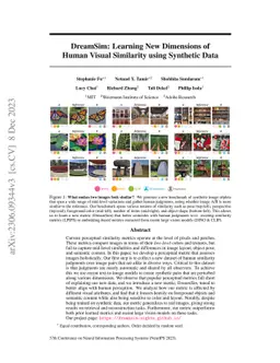 DreamSim: Learning New Dimensions of Human Visual Similarity using
  Synthetic Data