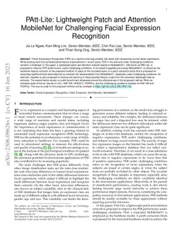 PAtt-Lite: Lightweight Patch and Attention MobileNet for Challenging
  Facial Expression Recognition