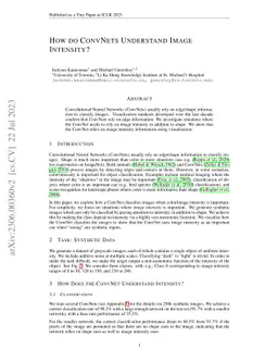 How Do ConvNets Understand Image Intensity?
