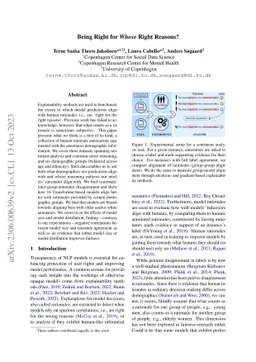 Being Right for Whose Right Reasons?