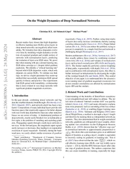 On the Weight Dynamics of Deep Normalized Networks