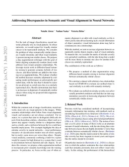 Addressing Discrepancies in Semantic and Visual Alignment in Neural
  Networks