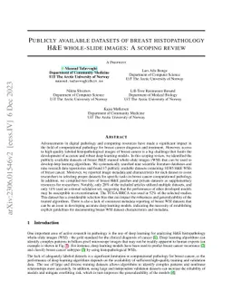 Publicly available datasets of breast histopathology H&E whole-slide
  images: A scoping review