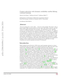 Context selectivity with dynamic availability enables lifelong continual
  learning