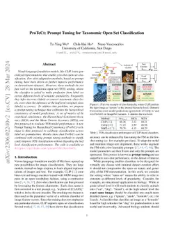ProTeCt: Prompt Tuning for Taxonomic Open Set Classification
