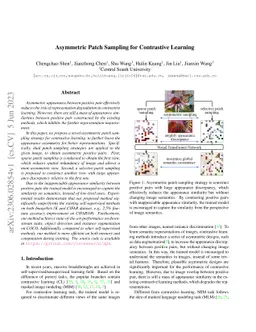 Asymmetric Patch Sampling for Contrastive Learning