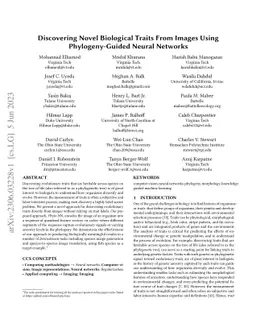 Discovering Novel Biological Traits From Images Using Phylogeny-Guided
  Neural Networks