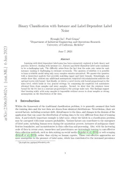 Binary Classification with Instance and Label Dependent Label Noise