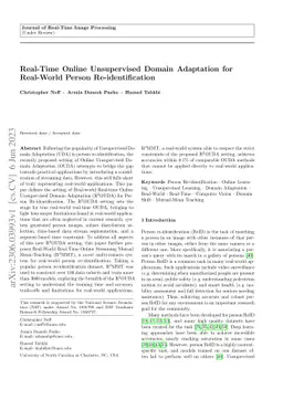 Real-Time Online Unsupervised Domain Adaptation for Real-World Person
  Re-identification