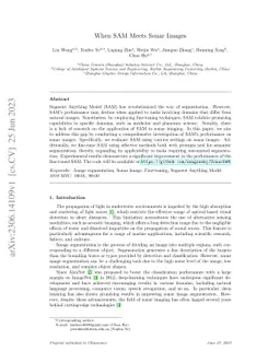 When SAM Meets Sonar Images