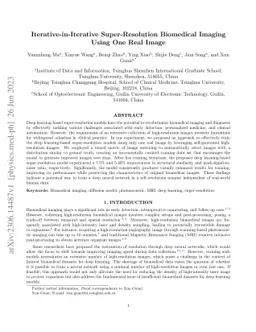Iterative-in-Iterative Super-Resolution Biomedical Imaging Using One
  Real Image