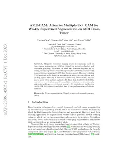 AME-CAM: Attentive Multiple-Exit CAM for Weakly Supervised Segmentation
  on MRI Brain Tumor