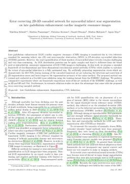Error correcting 2D-3D cascaded network for myocardial infarct scar segmentation on late gadolinium enhancement cardiac magnetic resonance images