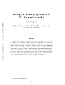 Scaling and Resizing Symmetry in Feedforward Networks