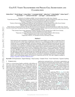 CellViT: Vision Transformers for Precise Cell Segmentation and
  Classification