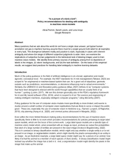 "Is a picture of a bird a bird": Policy recommendations for dealing with
  ambiguity in machine vision models