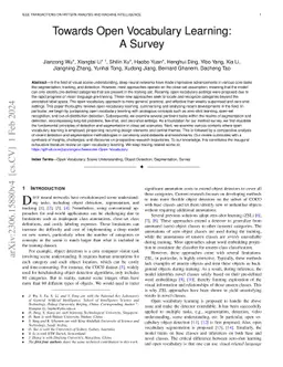 Towards Open Vocabulary Learning: A Survey